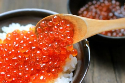 Bolehkah Berikan Telur Ikan Untuk Anak?
